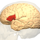 Image for article titled Why the Speech Center of Your Brain Shuts Down When You Talk